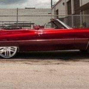 Meet your Posher, Gardner